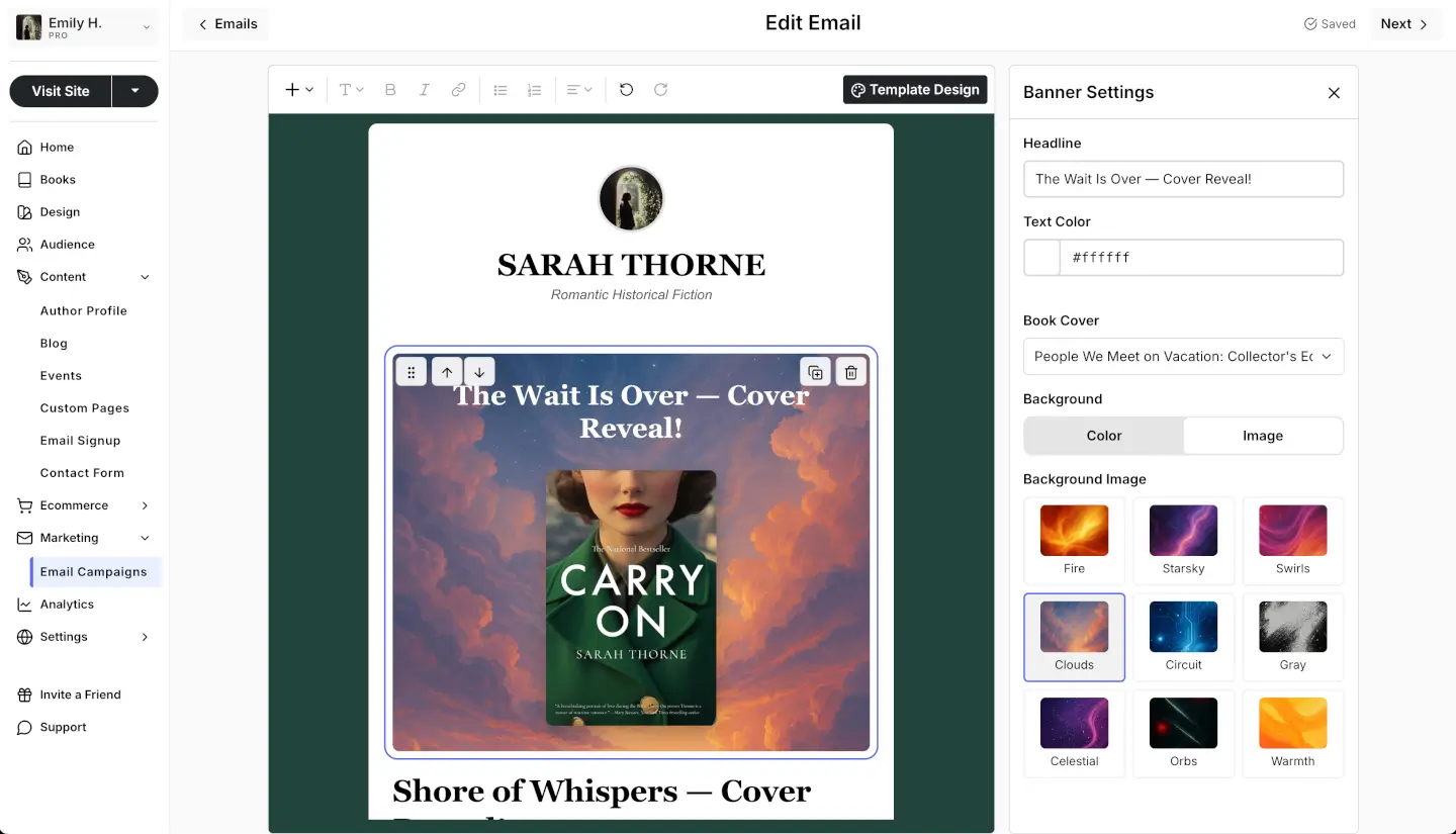 Email campaign editor